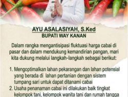 Kejar Swasembada Cabai, Bupati Way Kanan Ajak Warga Tanam di Pekarangan