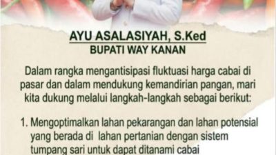 Kejar Swasembada Cabai, Bupati Way Kanan Ajak Warga Tanam di Pekarangan